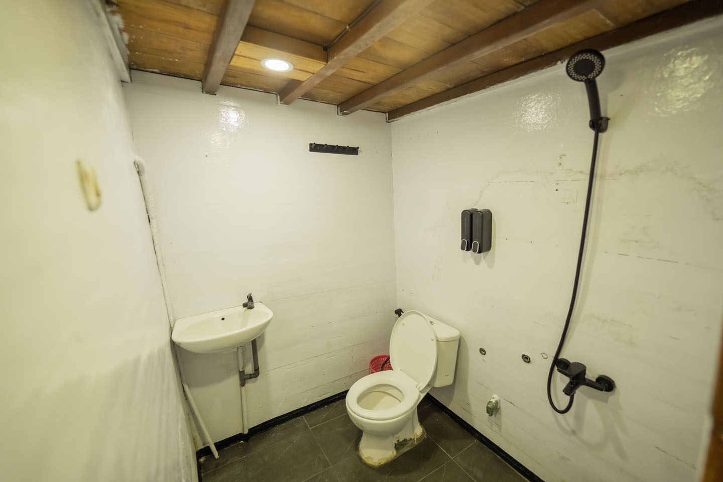 public_toilet_2